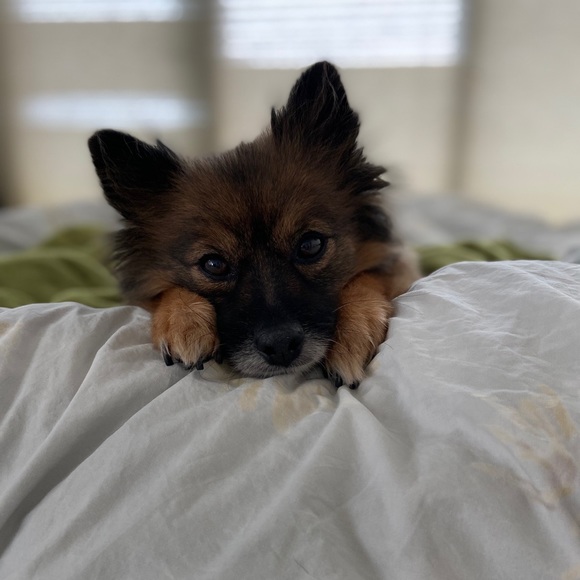 Meet your Posher, Mazhar - Picture 2 of 3